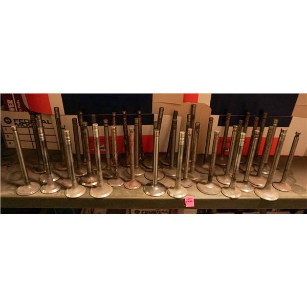 SHELF LOT - LOOSE UNBOXED ENGINE VALVES