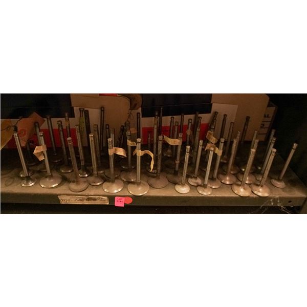 SHELF LOT - LOOSE UNBOXED ENGINE VALVES
