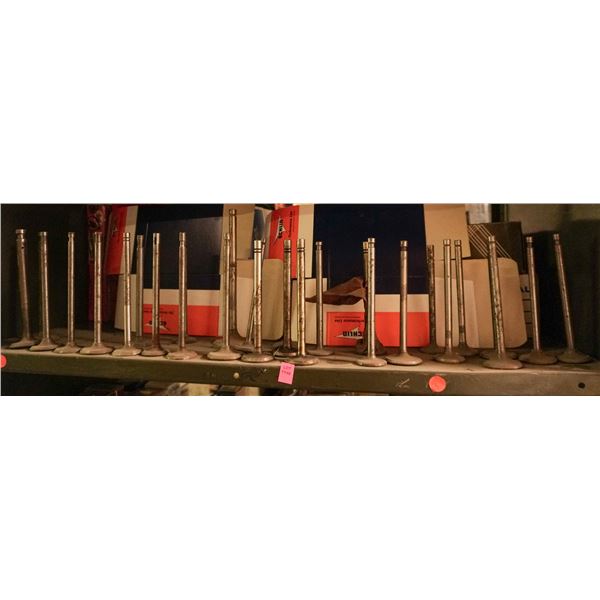 SHELF LOT - LOOSE UNBOXED ENGINE VALVES
