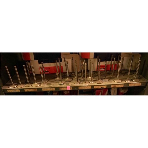 SHELF LOT - LOOSE UNBOXED ENGINE VALVES