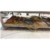Image 2 : SHELF LOT OF EXTENSION CORDS