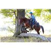 Image 2 : Prince Of Rancho Bravo