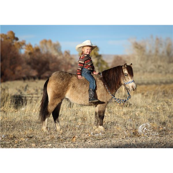 DSM Golden Touch Brandy