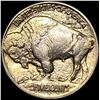 Image 2 : 1913-D Type 1 Buffalo Nickel UNCIRCULATED