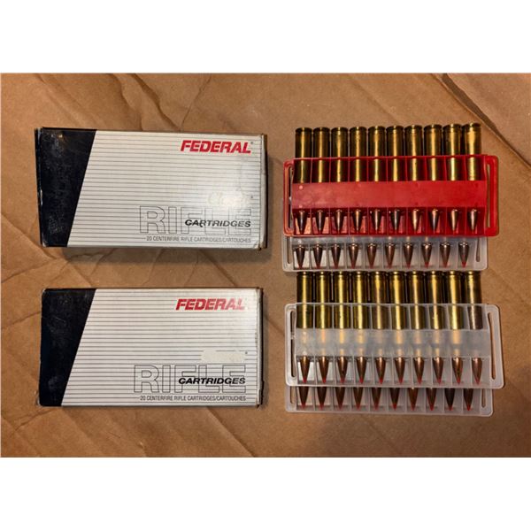 Federal 300 Win. Magnum 180gr