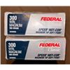 Image 2 : Federal 300 Win. Magnum 180gr
