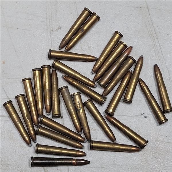 22 Hornet Ammo  28 Rounds