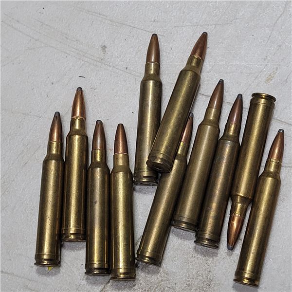 300 Win Magnum Loose Cartridges