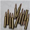Image 1 : 300 Win Magnum Loose Cartridges