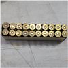 Image 3 : .348 Winchester Silvertips Factory Winchester Ammo