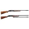 Image 1 : 2 WINCHESTER MODEL 50 SEMI-AUTOMATIC SHOTGUNS.