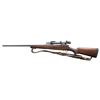 Image 2 : REMINGTON MODEL 30 EXPRESS BOLT ACTION RIFLE.