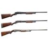 Image 1 : NATIONAL FIREARMS, MARLIN & ITHACA PUMP SHOTGUNS.