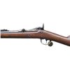 Image 4 : US SPRINGFIELD 1884 TRAPDOOR CADET RIFLE.