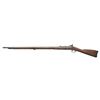Image 2 : RELIC SPRINGFIELD MODEL 1866 ALLIN CONVERSION