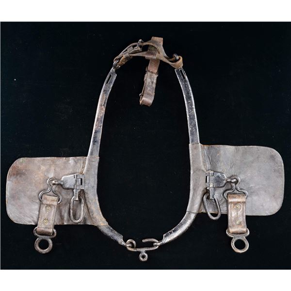 PAIR OF FULLY MARKED CIVIL WAR UNION HORSE OR MULE