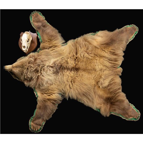 GRIZZLY BEAR RUG & MOUNTED BEAR SKULL.