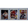 Image 1 : 3 Card Hockey Lot - See Description
