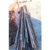 Image 4 : (25) 20ft Rails