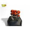 Image 2 : Zoccai Italy 750 (18k) White Gold, Coral + Gemstone ring