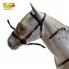 Image 8 : 1957 Beswick H.R.H. The Duke Of Edinburgh Mounted On "Alamein Trooping The Colour Figurine