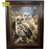Image 1 : 1988 C. Brends L.E.P. 175/180 Fine Print "Hidden In The Pines - Horned Owls"