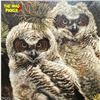 Image 3 : 1988 C. Brends L.E.P. 175/180 Fine Print "Hidden In The Pines - Horned Owls"