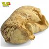 Image 2 : Vintage Whale Ear Drum