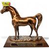 Image 1 : 2013 US National Reserve Champion Copper Tone Trophy