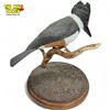 Image 2 : Vintage Hand Carved & Painted Kingfisher Bird