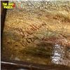 Image 2 : Early Framed Oil On Canvas Of Coastal Scene