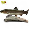 Image 1 : Beautiful Hand Carved & Painted Rainbow Trout On Driftwood Sculpture