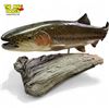 Image 2 : Beautiful Hand Carved & Painted Rainbow Trout On Driftwood Sculpture