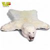 Image 2 : Large 6Ft Polar Bear Skin Rug, With Papers