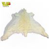 Image 8 : Large 8Ft Polar Bear Skin Rug, With Papers