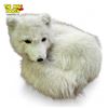 Image 1 : Taxidermy Arctic Fox, With Papers