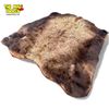 Image 1 : Taxidermy Buffalo Skin Rug