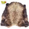 Image 2 : Taxidermy Buffalo Skin Rug