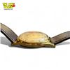 Image 8 : Rare 1960’s Enicar 21 Jewels Swiss Watch - Gold Plated