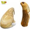 Image 2 : Inuit Carved Walrus and Sperm Whale Tooth