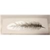 CANVAS "FEATHER" TEXTURED PRINT- 29.5" X 10"