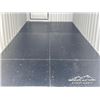 Image 13 : 2025 8 X 20 FT. SHIPPING CONTAINER