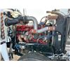 Image 38 : 2019 PETERBILT 389 T/A SLEEPER TRUCK TRACTOR