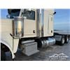 Image 73 : 2019 PETERBILT 389 T/A SLEEPER TRUCK TRACTOR