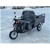 Image 1 : 2026 SDLANCH IRET13 ELECTRIC CARGO TRICYCLE