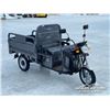 Image 2 : 2026 SDLANCH IRET13 ELECTRIC CARGO TRICYCLE