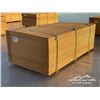 Image 2 : (60) 1/2 IN. X 4 X 8 FT. CSP/DFP NO STAMP PLYWOOD
