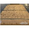 Image 6 : (60) 1/2 IN. X 4 X 8 FT. CSP/DFP NO STAMP PLYWOOD
