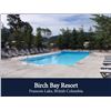 Image 3 : BIRCH BAY RESORT: RV LOT #52
