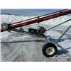 Image 7 : SAKUNDIAK HD 08-1000 33 FT. GRAIN AUGER